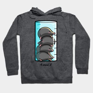 Four Moles Per Litre Hoodie